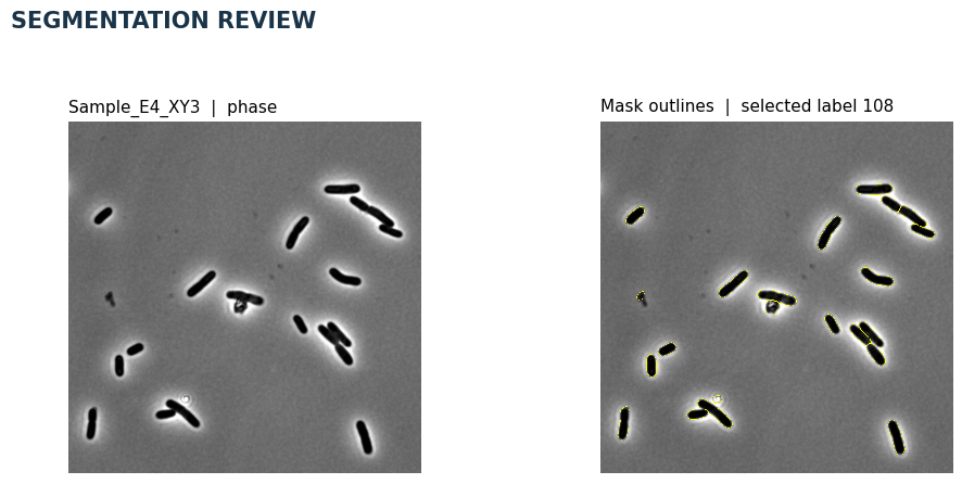 2. Segment and review
