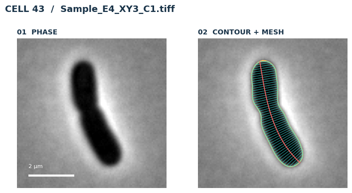 3.2 Visualizing the mesh coordinate system