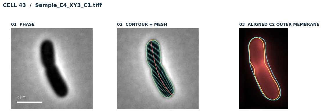 5.2 Visualize object channels