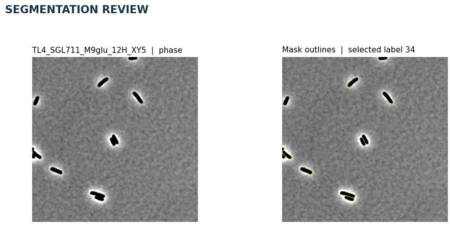 2. Segment and review